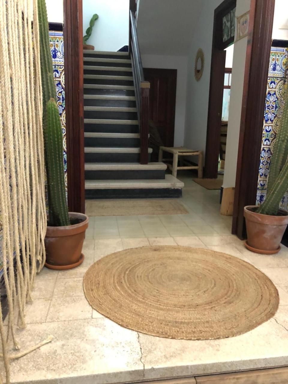 Cactus Host Hostel Las Palmas Exterior photo