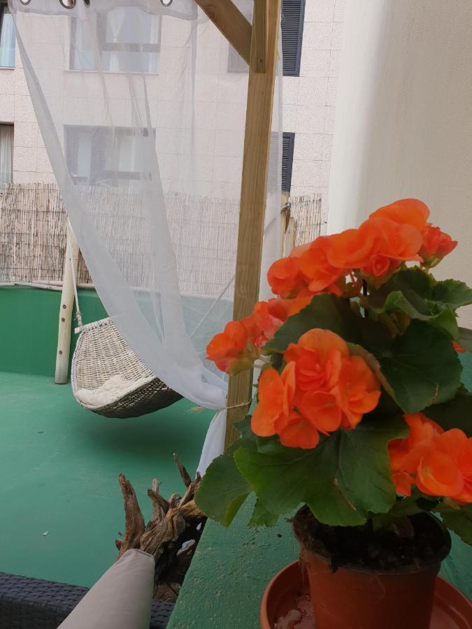 Cactus Host Hostel Las Palmas Exterior photo